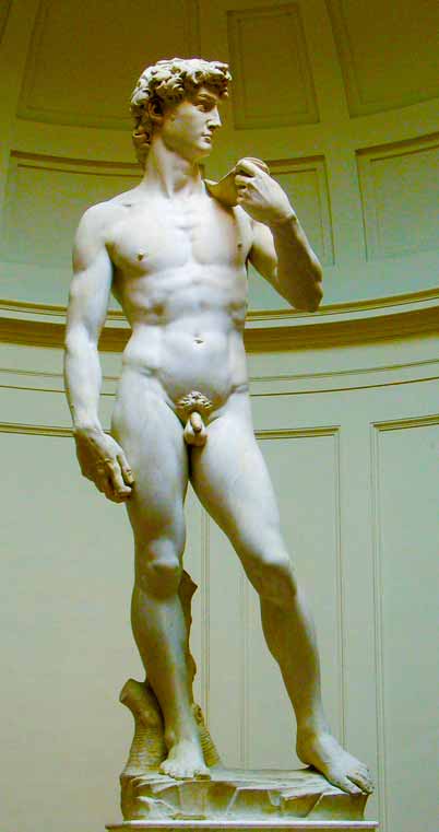 michelangelo david