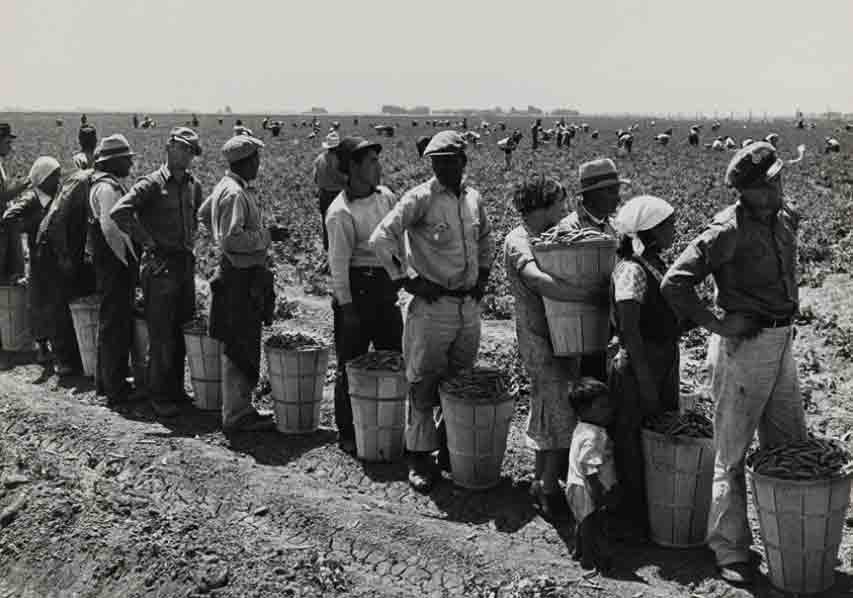The Birth of the Social Realism Movement in the 20th Century